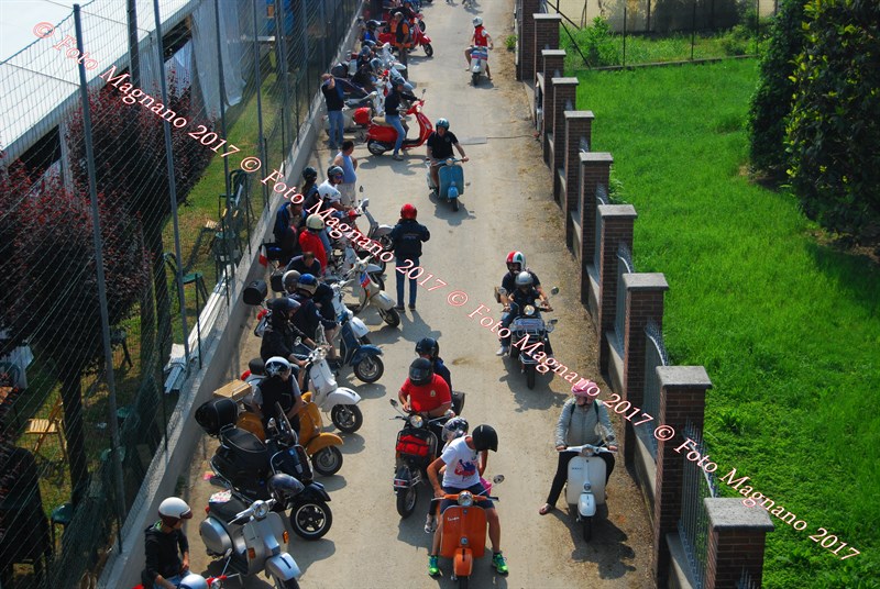 DSC_4949.JPG